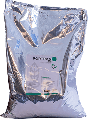 FORTRAN Mn