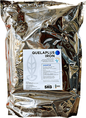 QUELAPLUS IRON